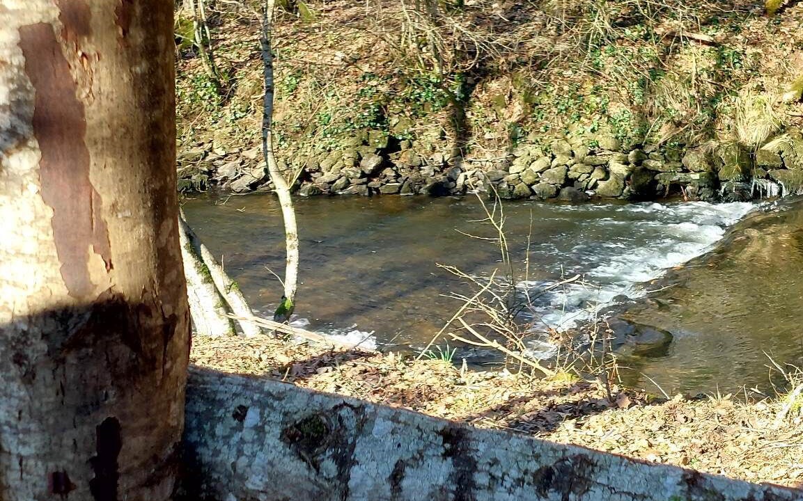 Photo of Outdoor in Saint-Eloy-les-Tuileries