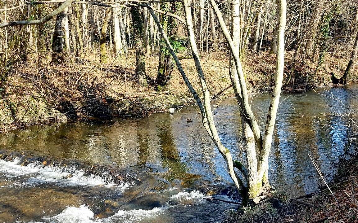 Photo of Others in Saint-Eloy-les-Tuileries