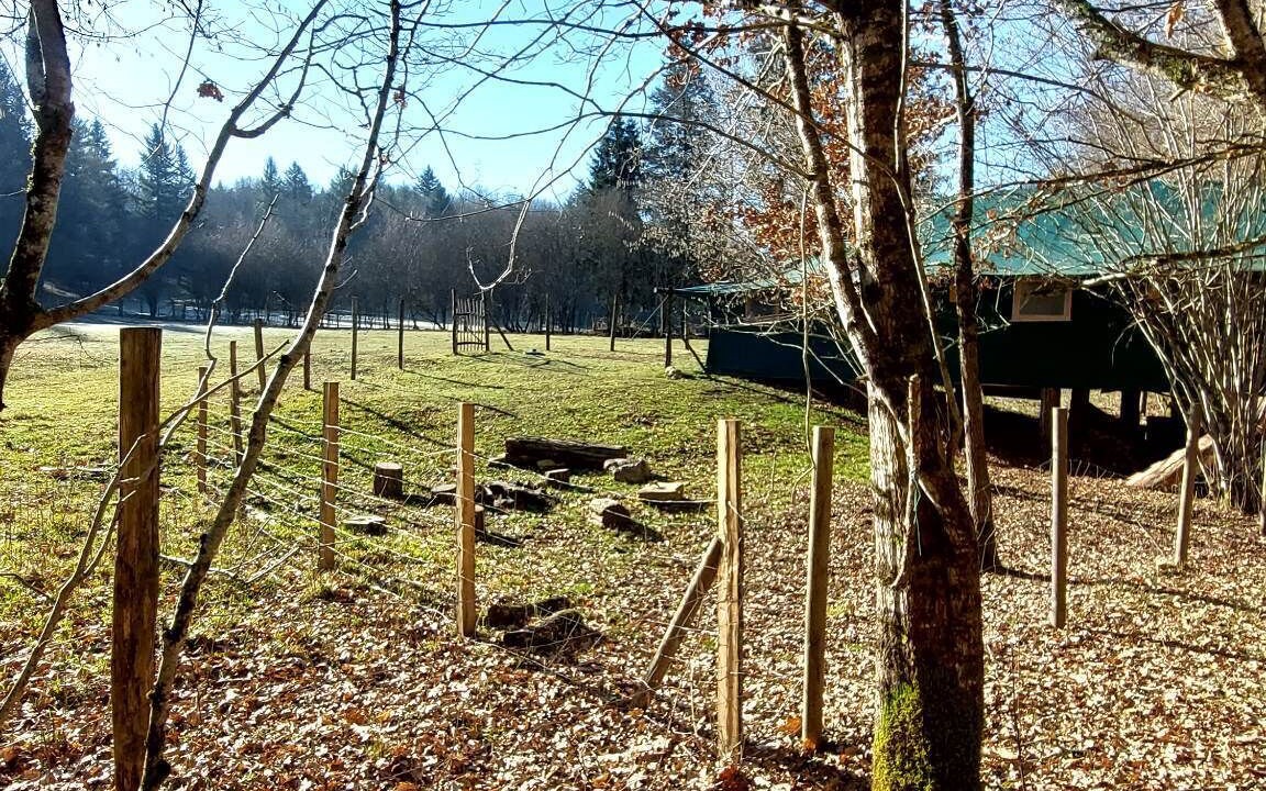 Photo of Outdoor in Saint-Eloy-les-Tuileries