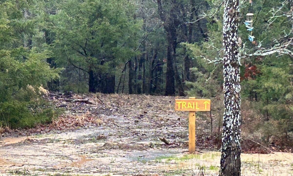Photo of Others in Myra