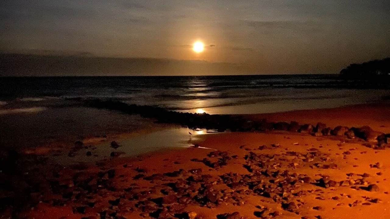 Photo of Others in Bargara