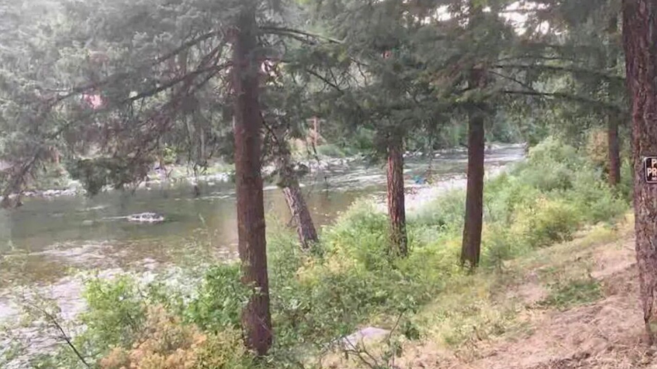 Photo of Others in Plain