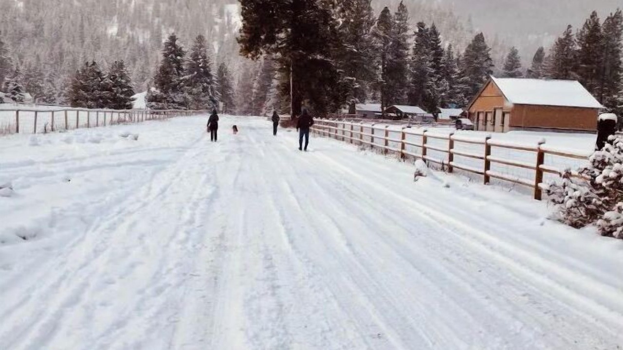 Photo of Others in Plain