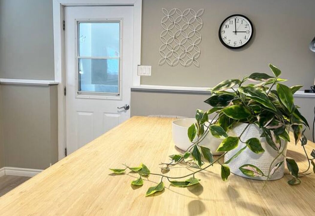 Photo of Others in Port Williams