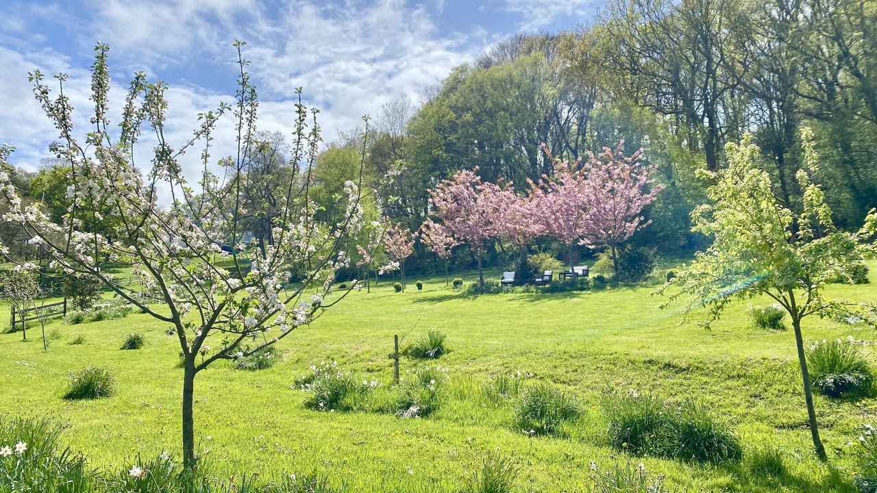Photo of Outdoor in Vattetot-sur-Mer