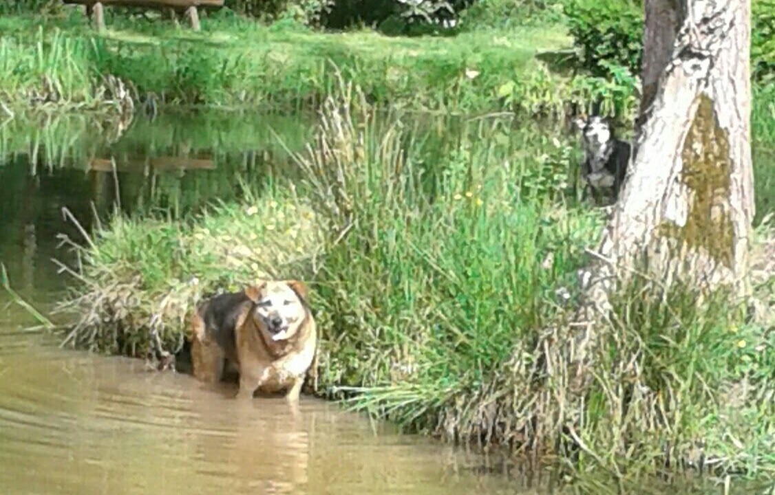 Photo of Others in Rasey