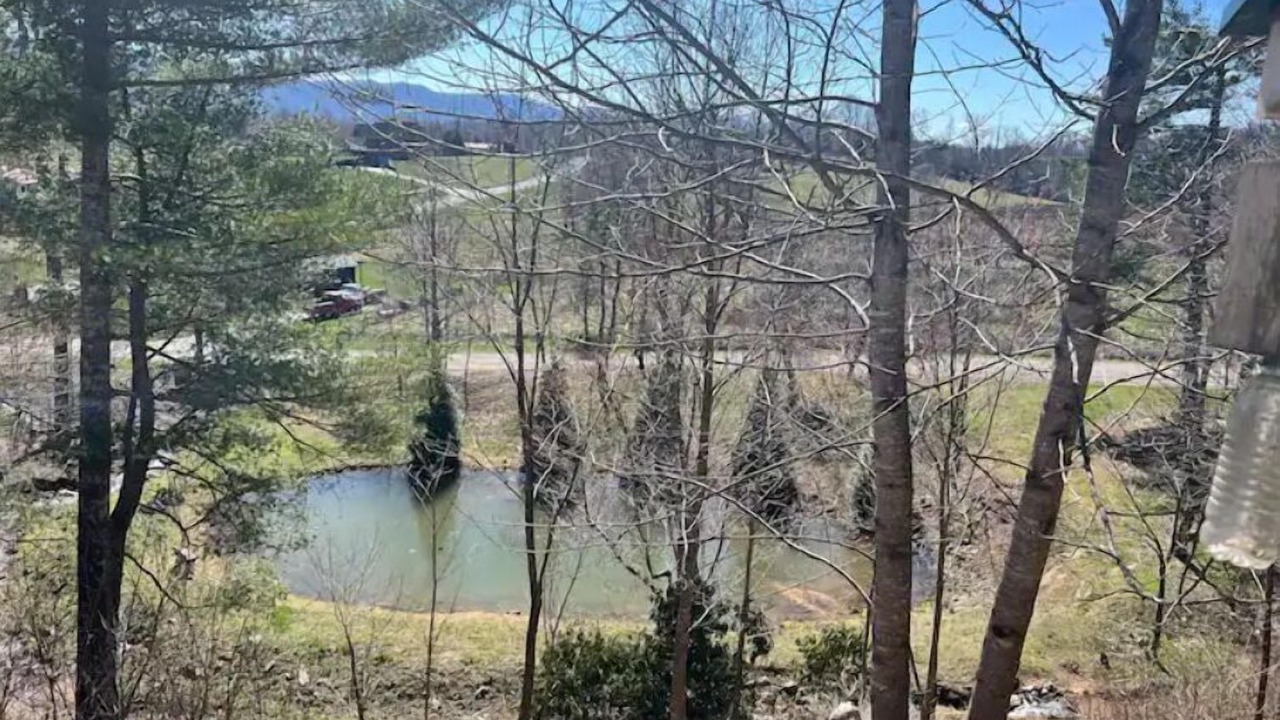 Photo of Outdoor in Mountain City