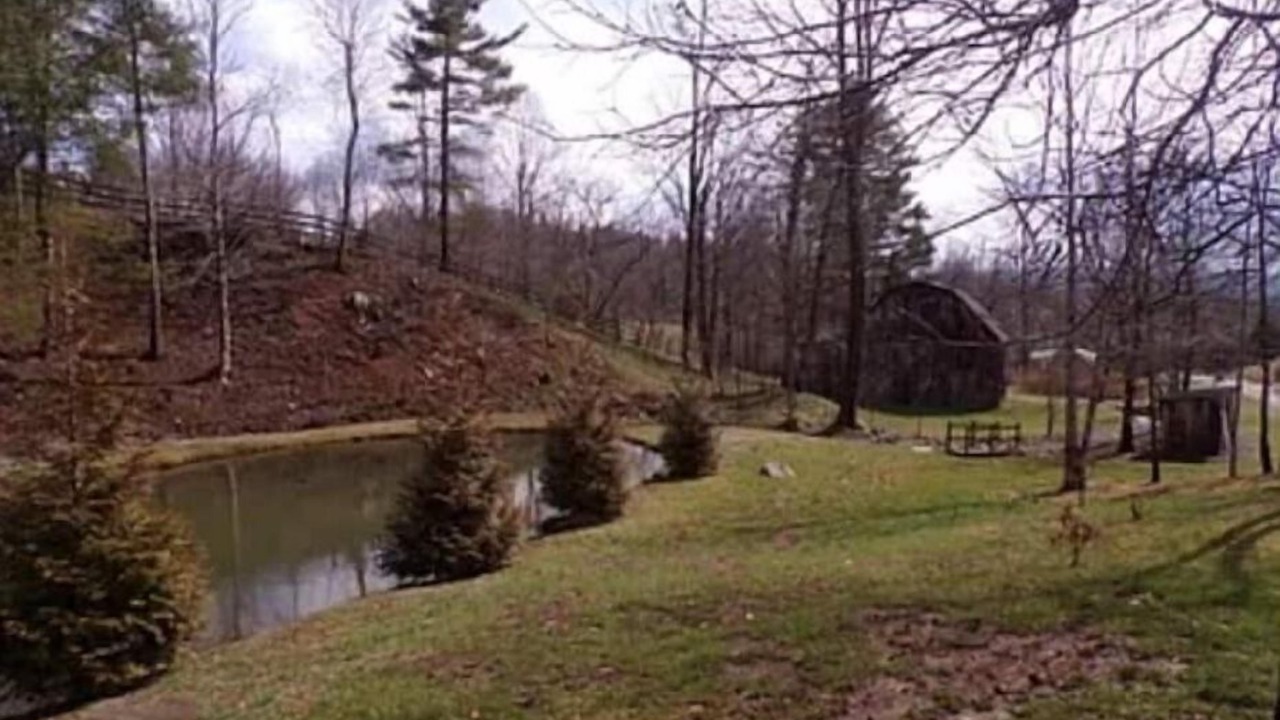 Photo of Outdoor in Mountain City