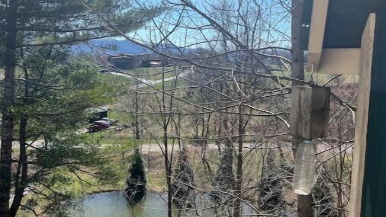Photo of Outdoor in Mountain City