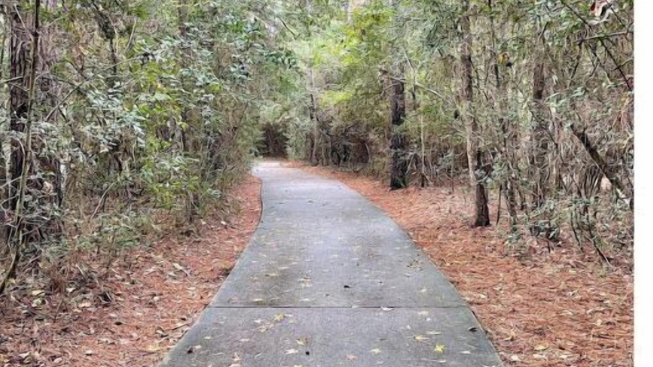 Photo of Outdoor in College Park