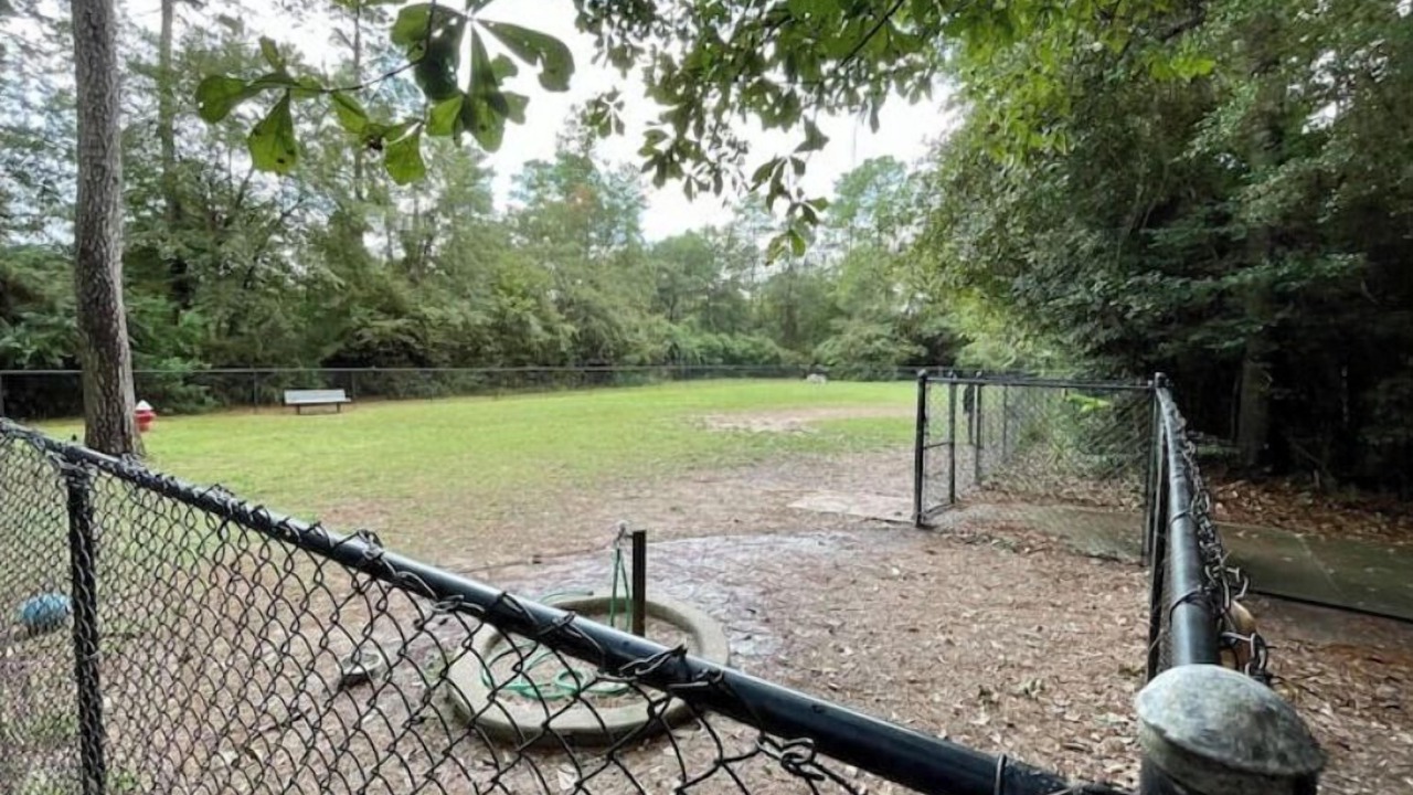 Photo of Outdoor in College Park