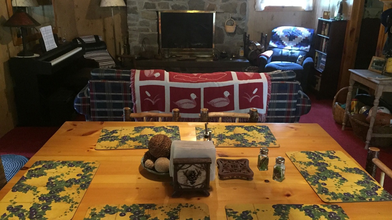 Photo of Livingroom in Adirondack