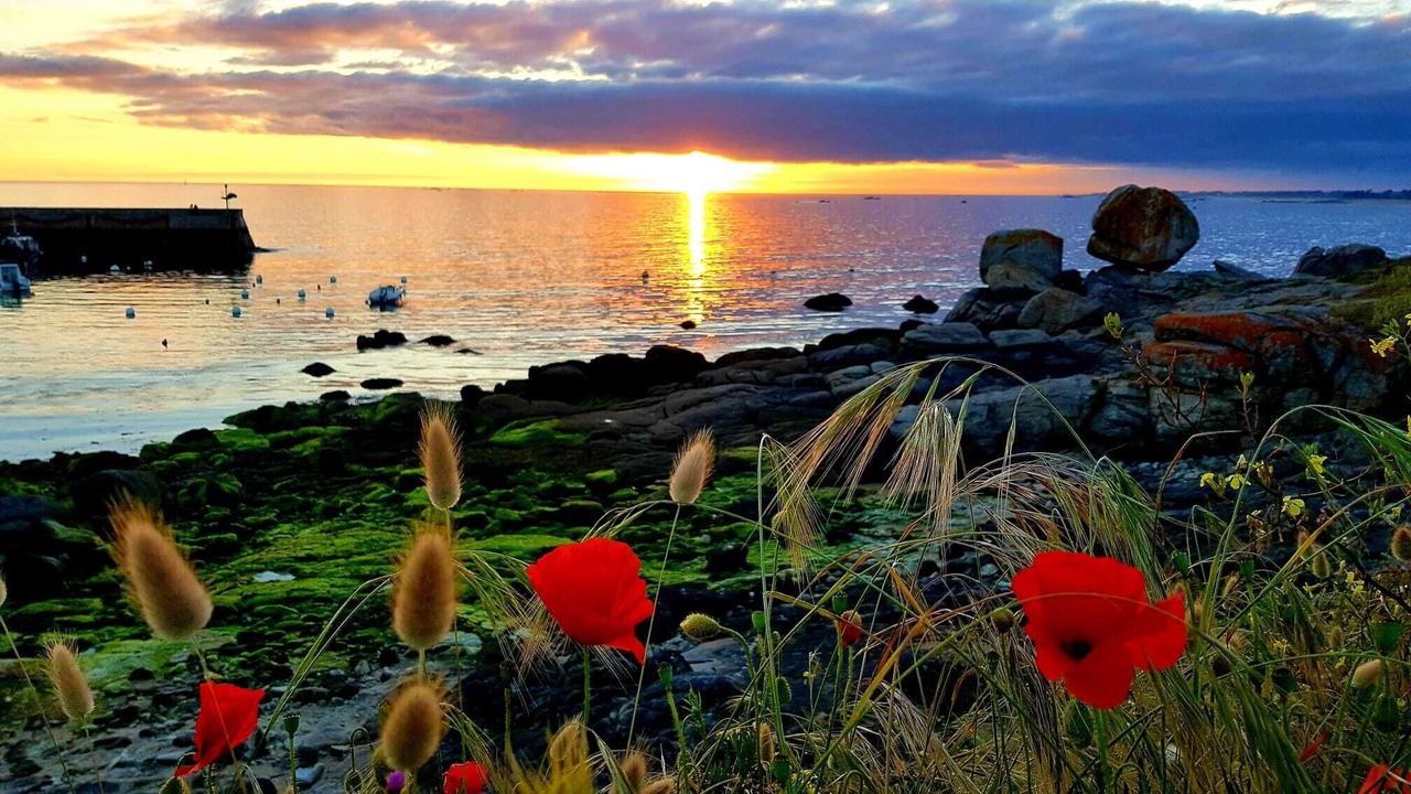 Photo of Others in Trevignon