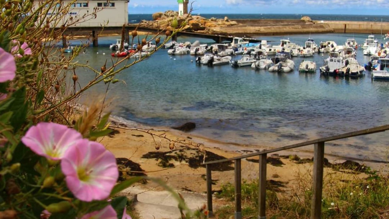 Photo of Others in Trevignon