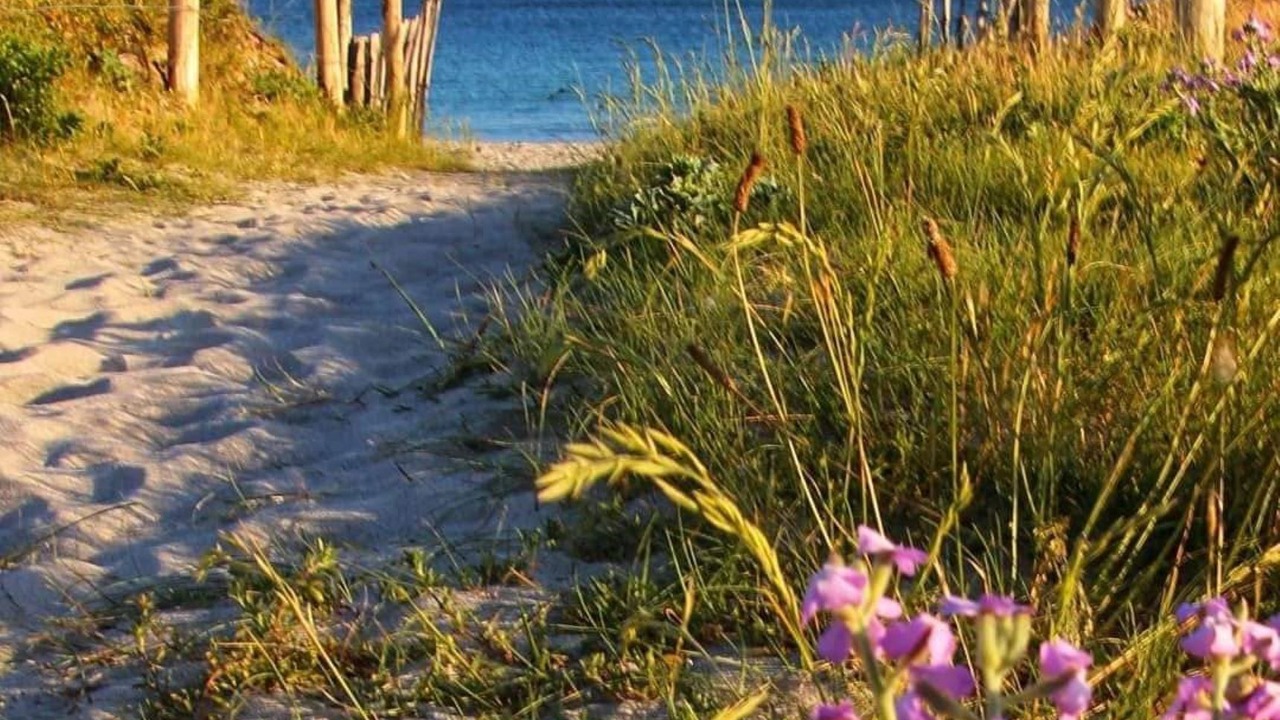 Photo of Others in Trevignon