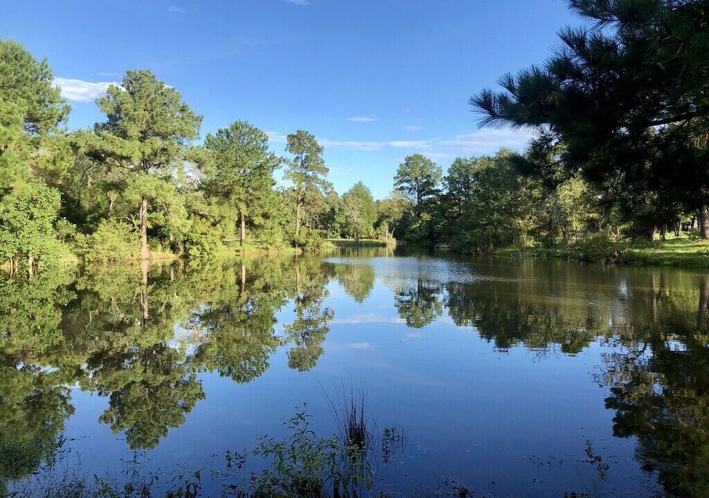 Photo of Others in Anderson