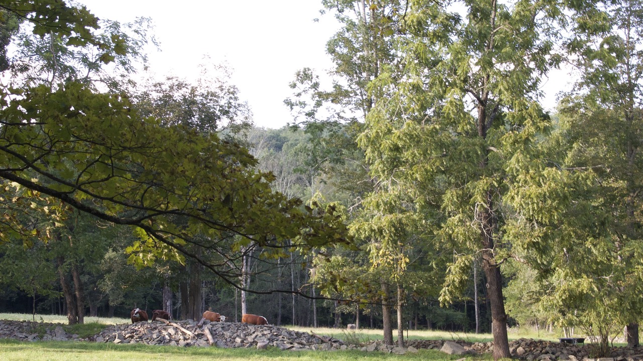 Photo of Outdoor in Cresco