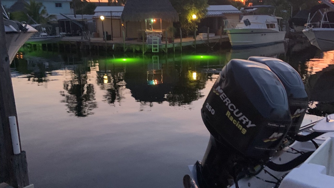 Photo of Others in Cross Key Waterways