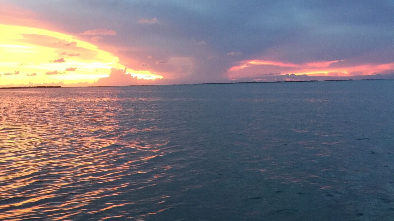 Photo of Others in Cross Key Waterways