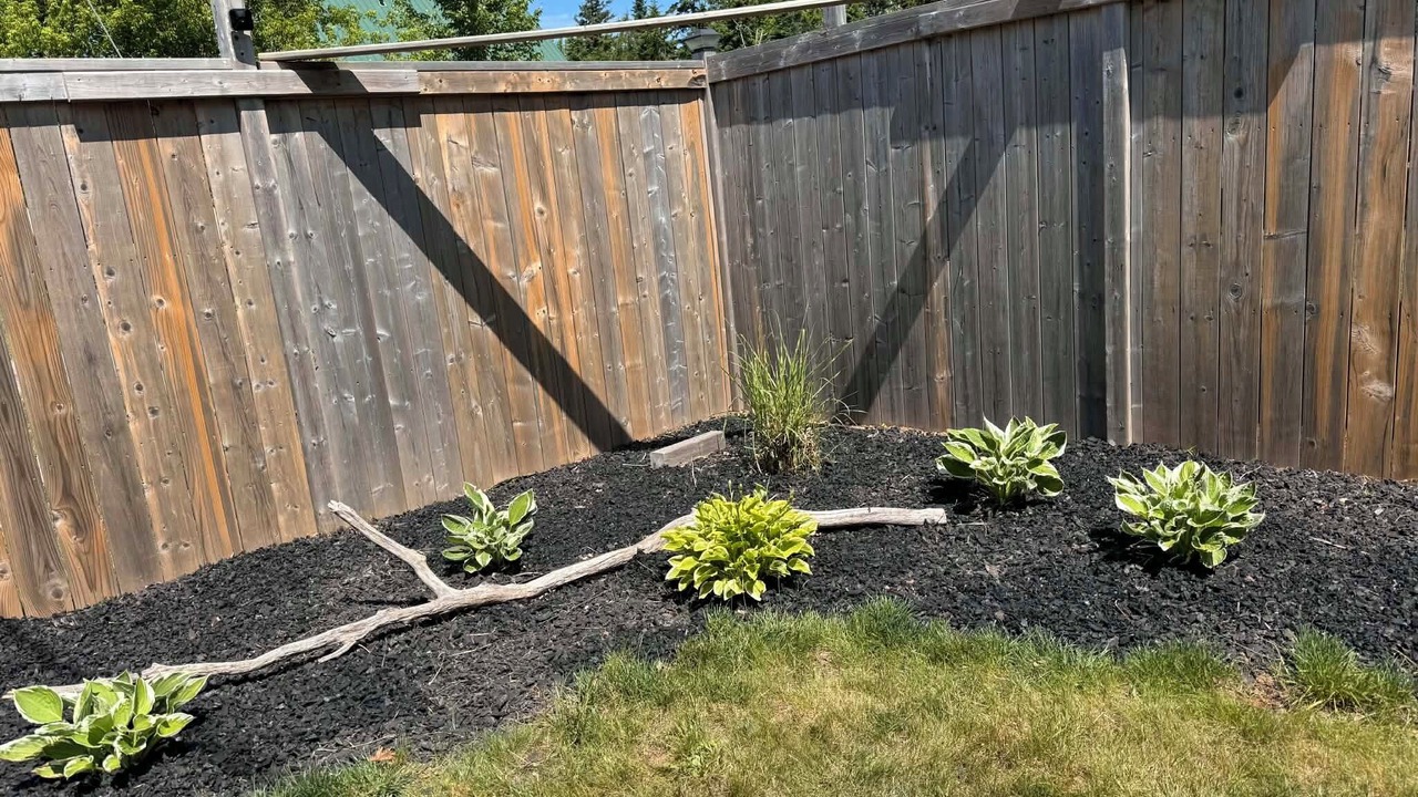 Photo of Outdoor in Amherst
