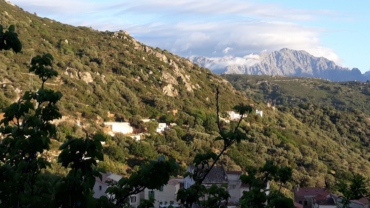 Photo of Outdoor in Corbara