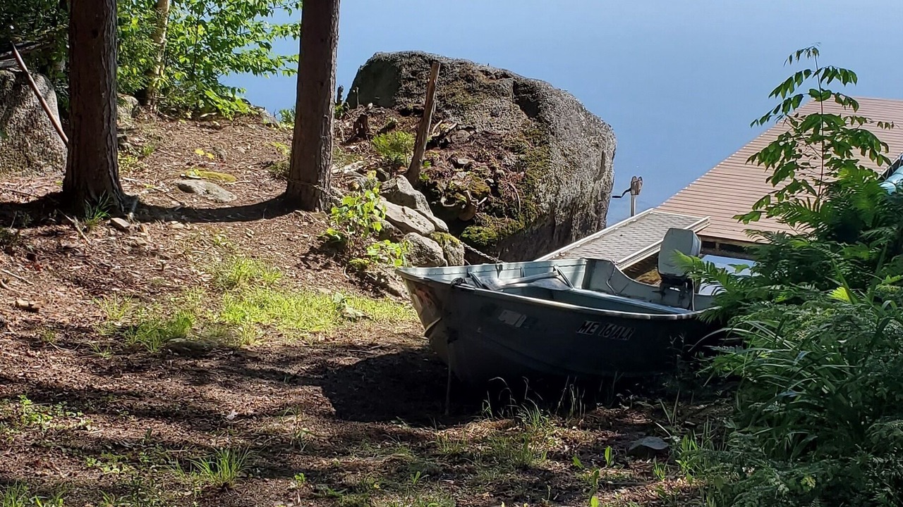 Photo of Outdoor in Forest CIty