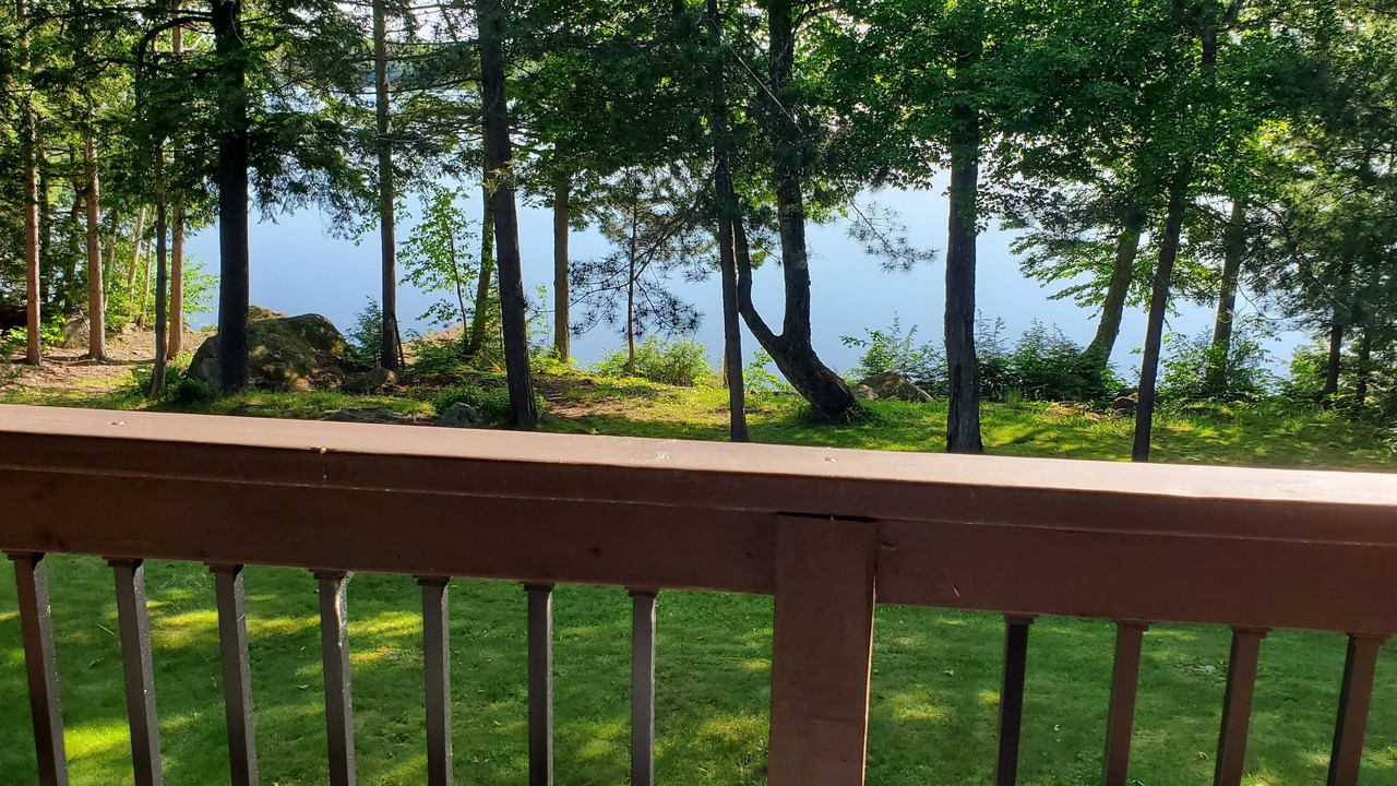 Photo of Outdoor in Forest CIty