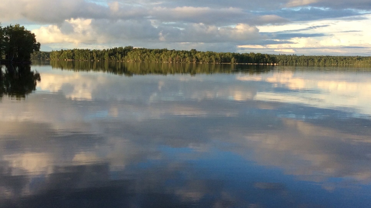 Photo of Outdoor in Forest CIty