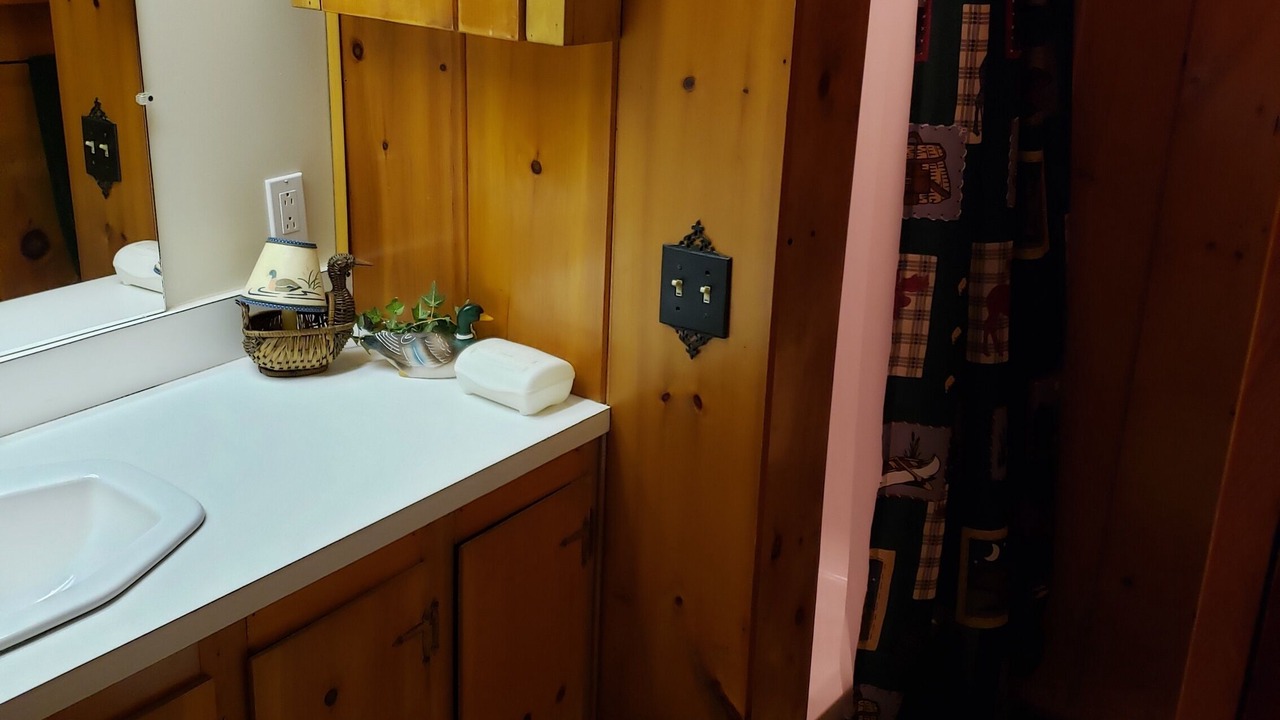 Photo of Bathroom in Forest CIty