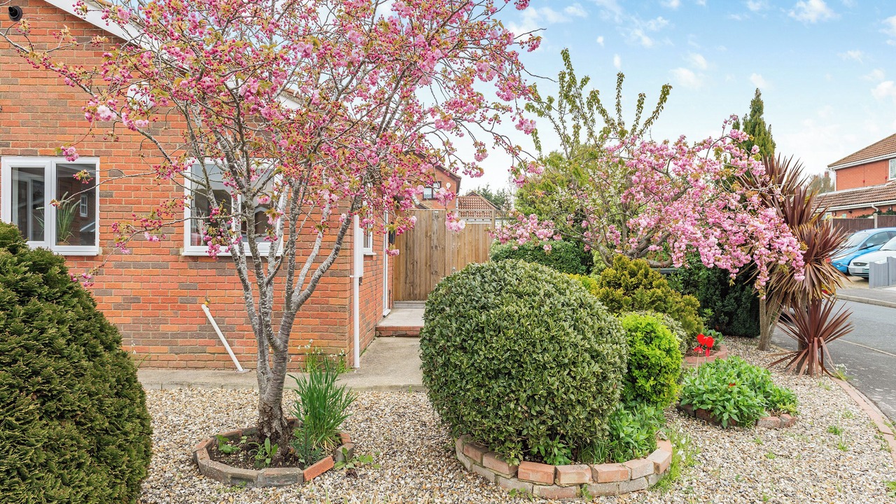 Photo of Outdoor in Herne Bay