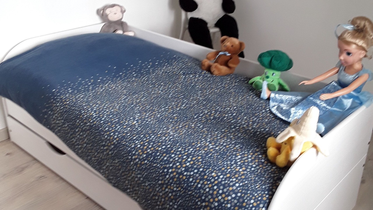 Photo of Bedroom in Congenies