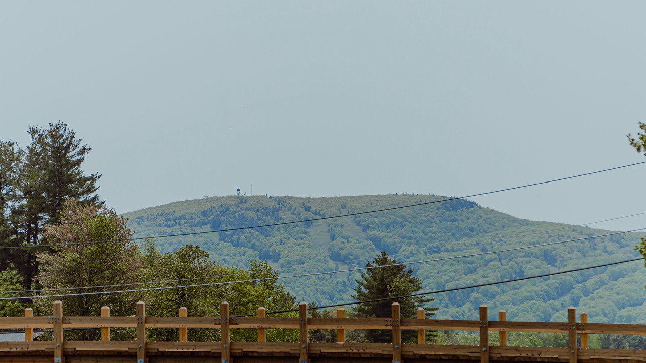 Photo of Others in Westminster