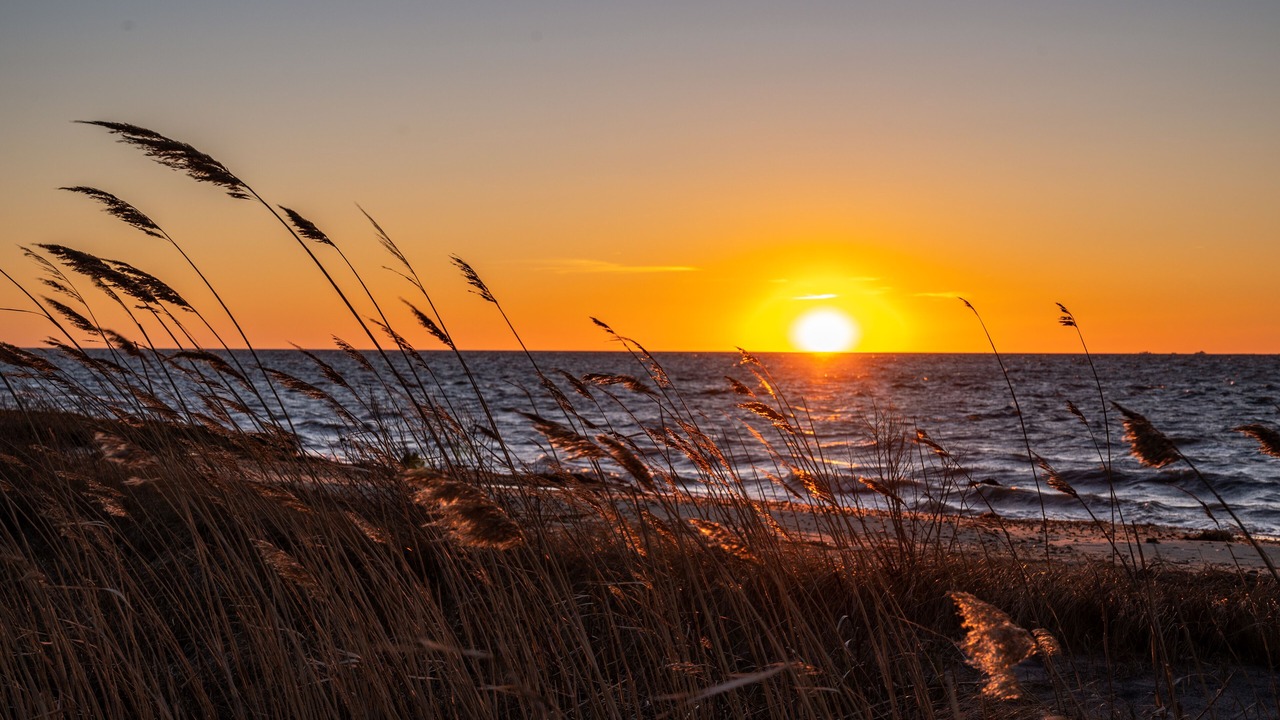 Photo of Others in Upper Fairmount