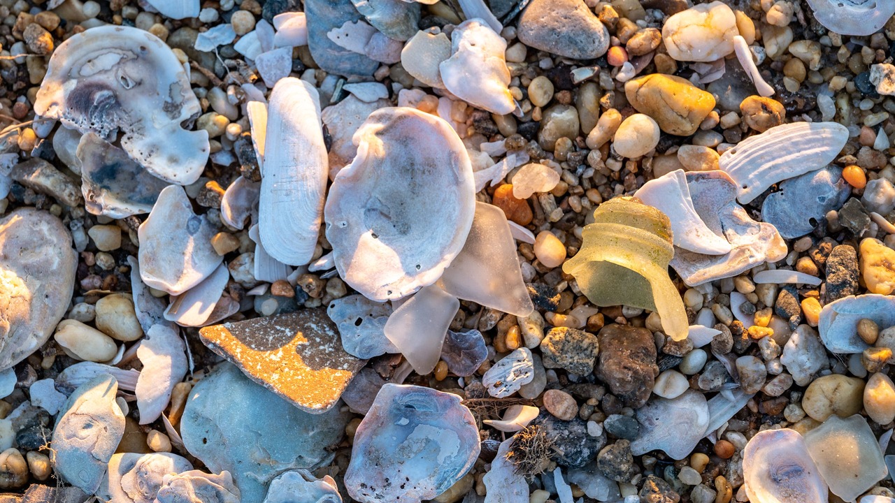 Photo of Others in Upper Fairmount