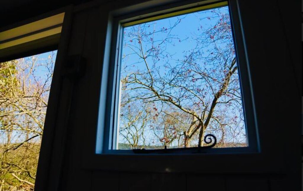 Photo of Others in Rowlands Gill