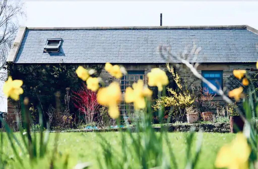 Photo of Others in Rowlands Gill