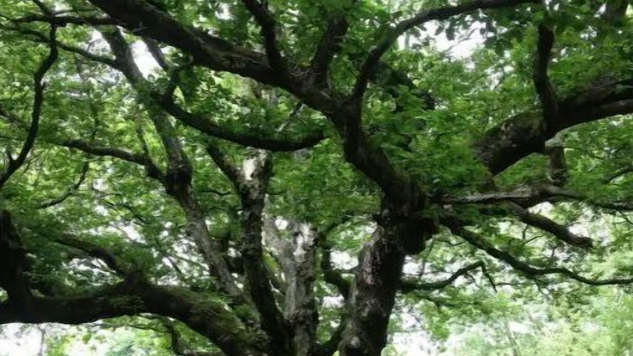 Photo of Others in Rowlands Gill