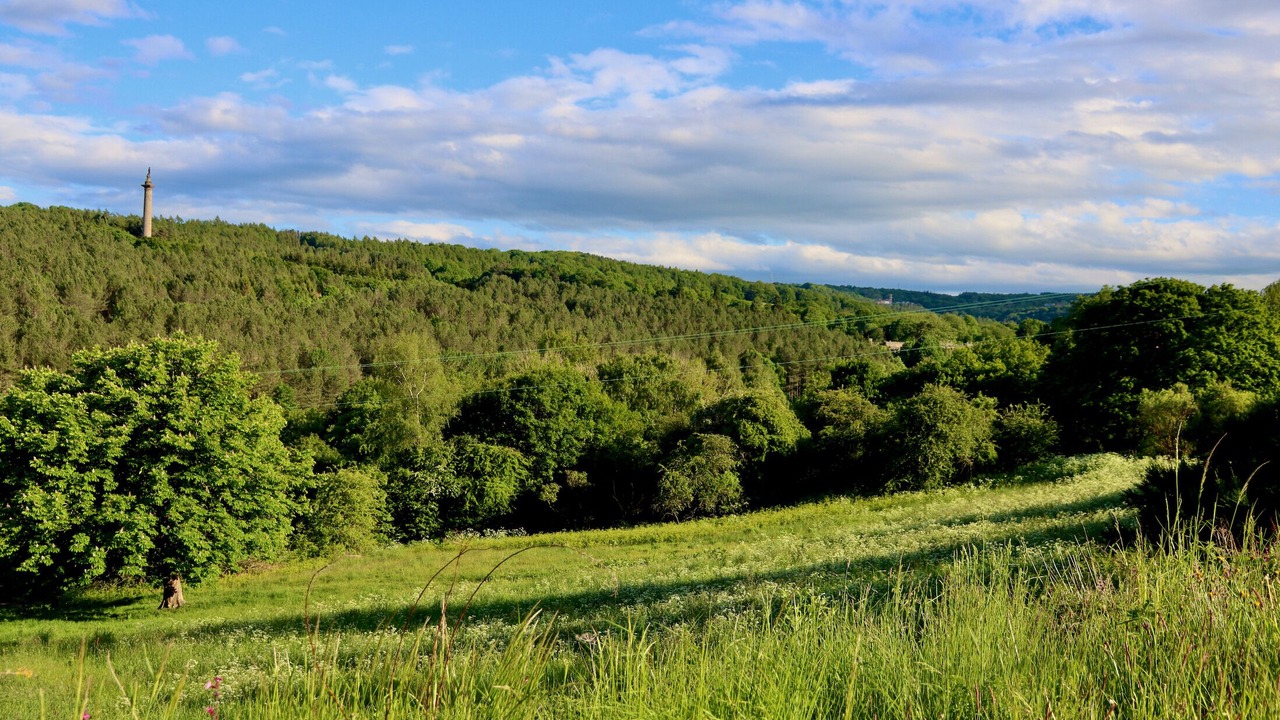 Photo of Others in Rowlands Gill