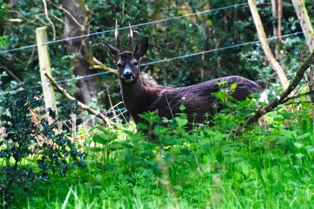 Photo of Others in Rowlands Gill