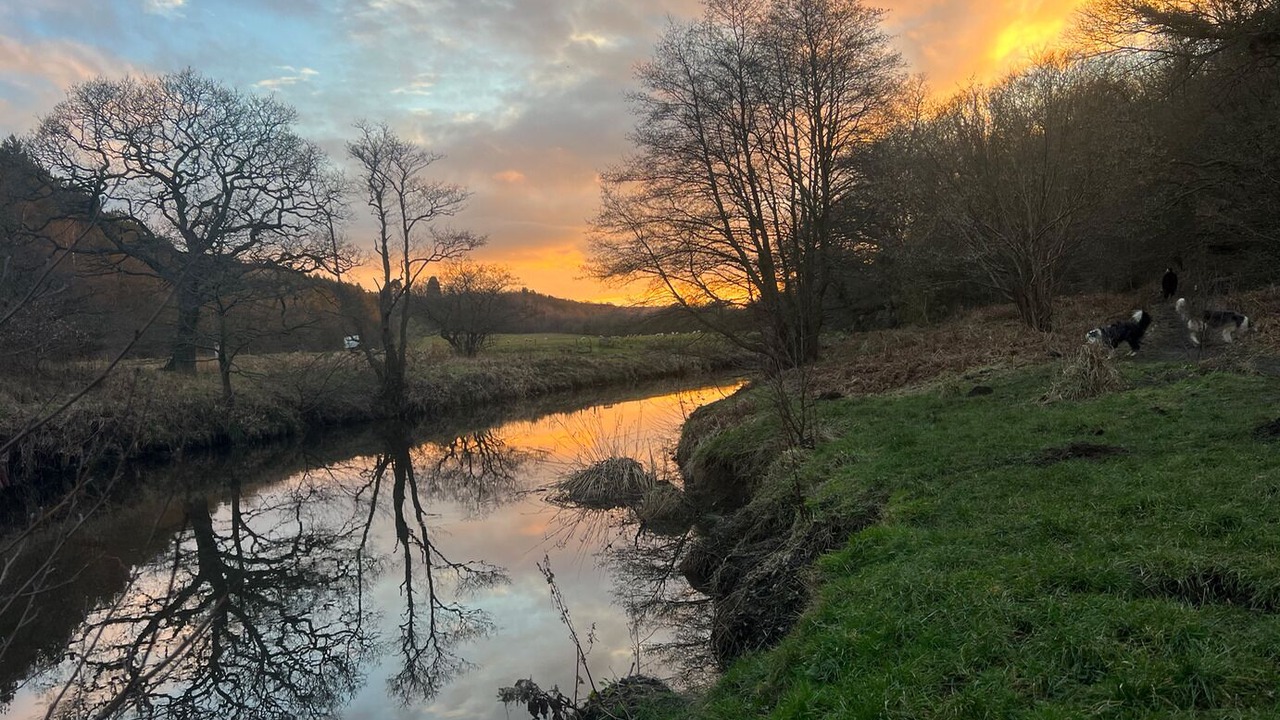 Photo of Others in Rowlands Gill
