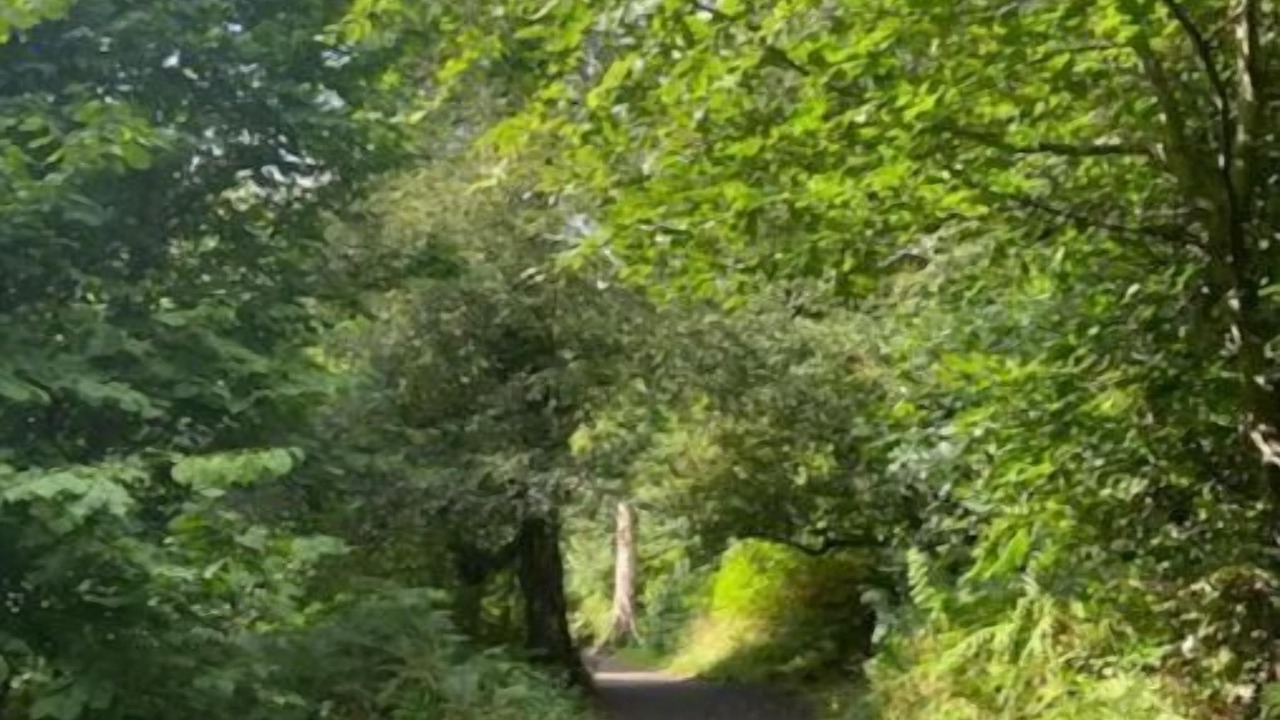 Photo of Outdoor in Rowlands Gill