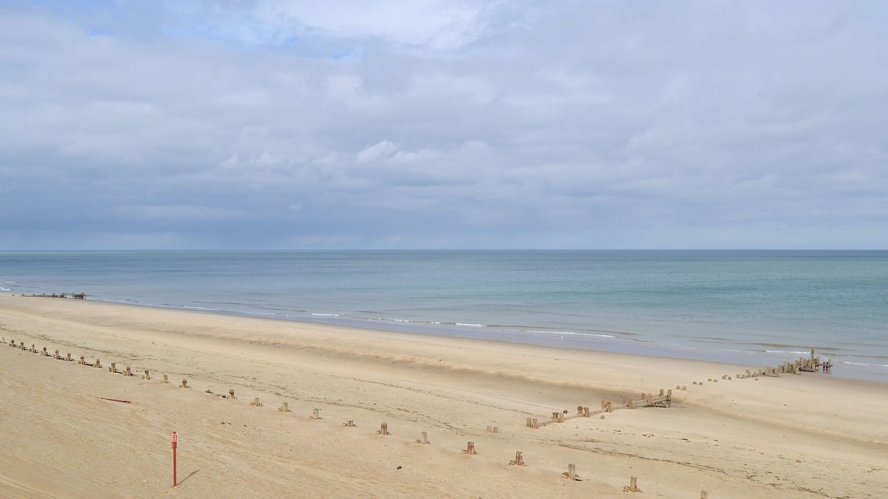 Photo of Others in Bacton