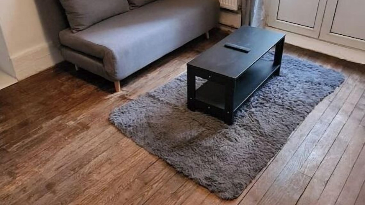 Photo of Livingroom in Poincare - Foch - Anatole France - Croix de Bourgogne