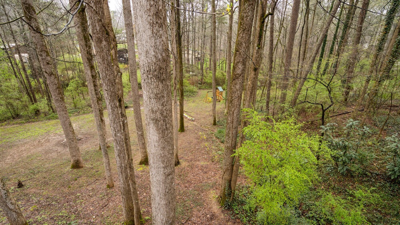 Photo of Others in Woodstock