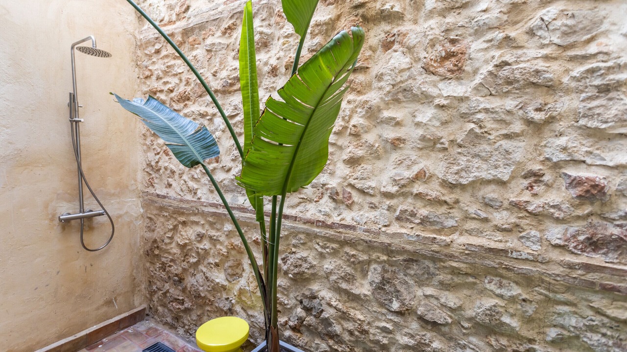 Photo of Bathroom in La Roqueta