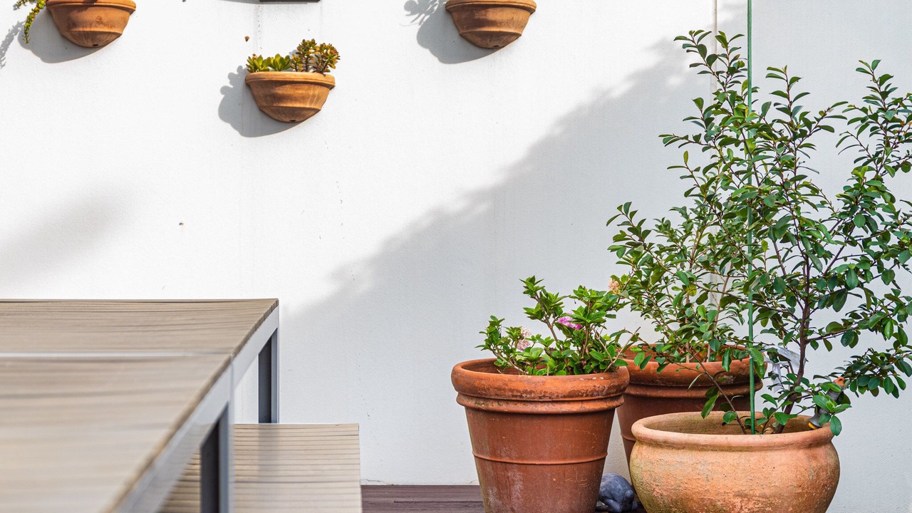 Photo of Outdoor in Bondi Junction