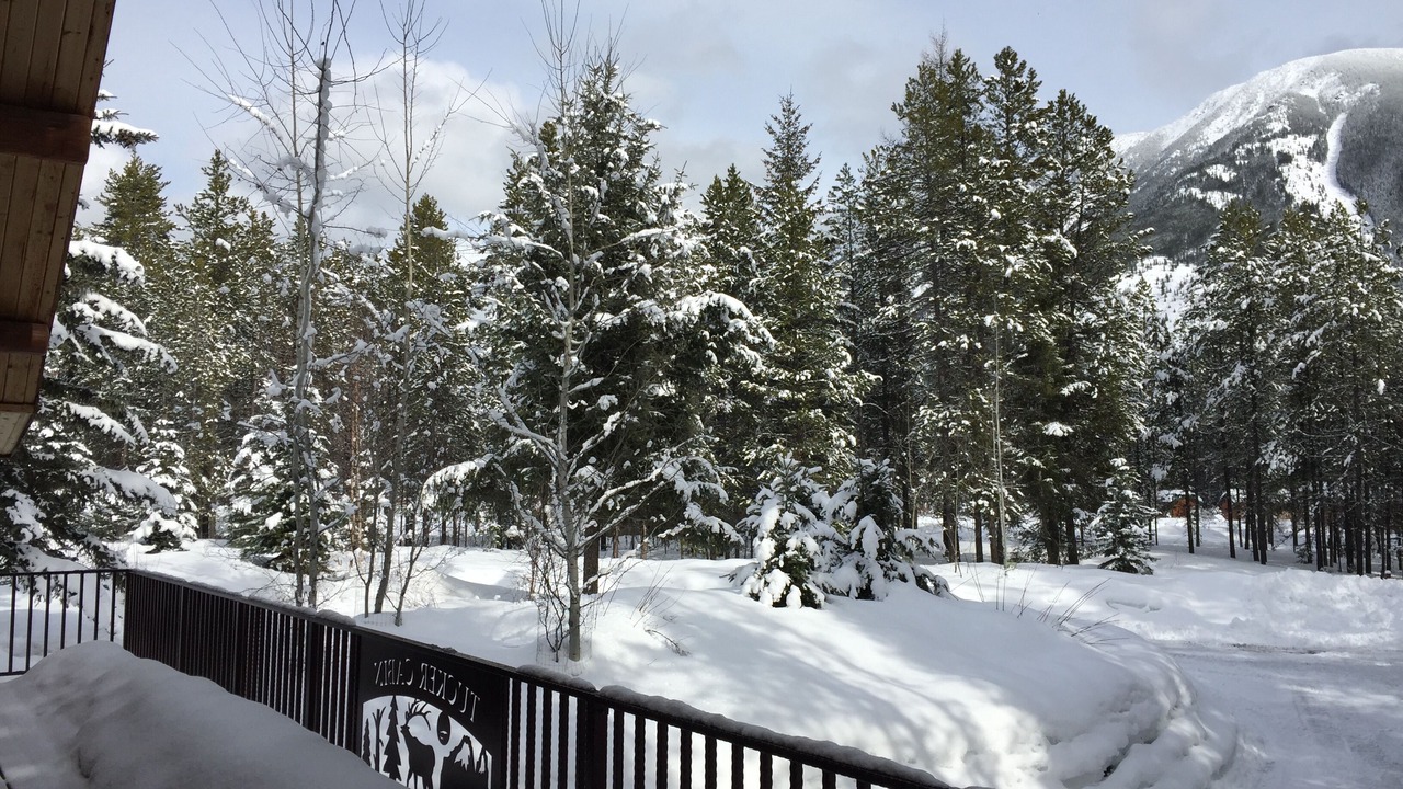 Photo of Outdoor in West Glacier