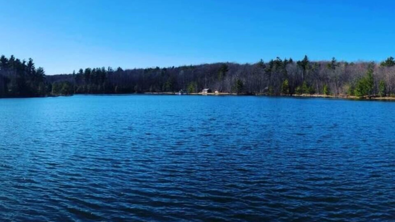 Photo of Outdoor in West Oneonta