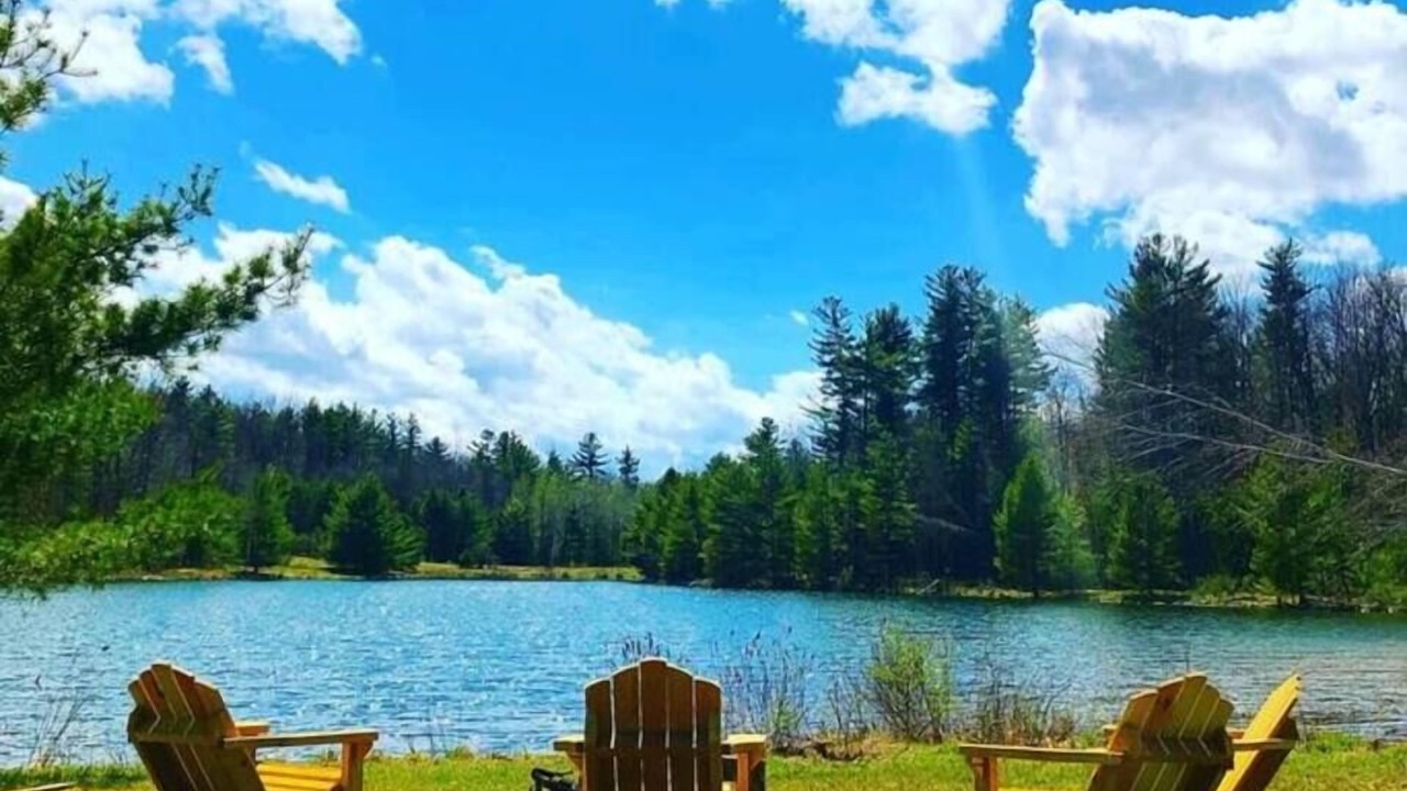 Photo of Outdoor in West Oneonta