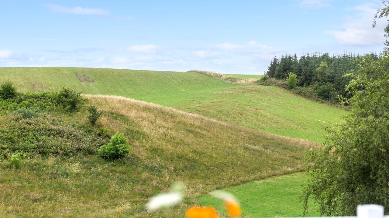 Photo of Bedroom in Fur